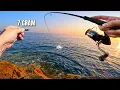Download Lagu TOPWATER MICRO JIGGING MET TINY JIG!