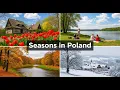 Lagu Seasons in Poland - Polish Comprehensible Input