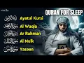 Wonderful Quran for Deep Calm | Fatiha, Ayatul Kursi, Rahman, Mulk, Yasin, Waqiah | Alaa Aqel