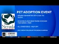 Pet adoption events on Saturday