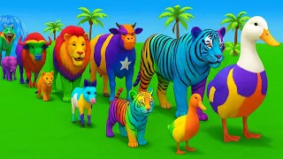 Long Slide Game With Elephant Gorilla Buffalo Hippopotamus Tiger 3d Animal Game Funny 3d Animals