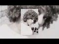 Slowed+Reverb Franglish Kikimoteleba ~ Tigini remix