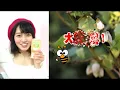 松浦景子さん鈴木のはちみつ（カナダ産ブルーベリー蜂蜜1.2kg）