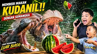 EYBEL EYZEL KASIH MAKAN KUDANIL DI KEBUN BINATANG