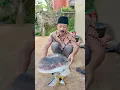Lagu Burung kake besar