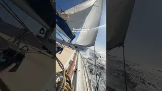 Le voilier c’est 20 % à admirer le paysage et 80 % à te demander  pourquoi tu t’infliges ça 😂