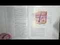 Milady NAILS Cengage CHAPTER 3 Pages 59-66 Structure Disorders Diseases