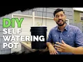 How to Build a Self Watering Pot For 10