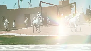 يامن لحنك في قلبي يصدح ابدا      دندنها