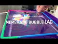 Cell Membrane Bubble Lab