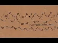 DNA REMIX