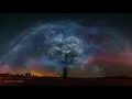 Nils Frahm - Says | Ad Astra