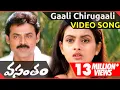 Download Lagu Gaali Chirugaali Video Song || Vasantam Movie || Venkatesh Kalyani || shalimarcinema