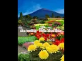 Download Lagu aku tenang (cover nella kharisma - lirik)