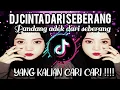 Download Lagu DJ CINTA DARI SEBERANG VIRAL TIKTOK 2025 | DJ KU PANDANG PANDANG ADEK DARI SEBERANG | REMIX TERBARU