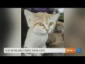 Zoo Boise welcomes a new animal