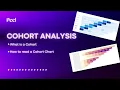 What is a Cohort How to Read a Cohort Analysis Chart