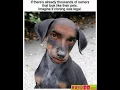 Funny Weird Ugly Pictures