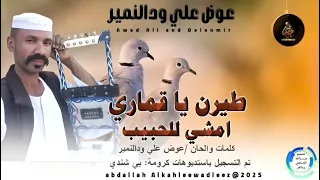 الجديد والحصري الفنان عوض علي ودالنمير طيرن ياقماري امشي لي الحبيب 2025 