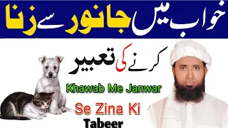 Committing Adultery With An Animal In A Dream Seeing Someone Committing Adultery In A Dream Com 