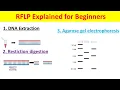 RFLP Explained Restriction Fragment Length Polymorphism Technique for Beginners