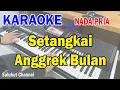 Download Lagu ANGGREK BULAN ll KARAOKE NOSTALGIA ll BROERY PASULIMA FEAT EMILIA CONTESSA ll NADA PRIA DUET ES=DO
