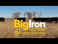 BigIron Livestock Division - BigIron Auctions