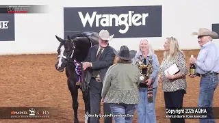 2025 Amateur 3 Year Old Mares World Champion 