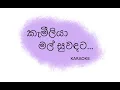 Download Lagu Kameliya Mal Suwandata karaoke | කැමීලියා මල් සුවඳට | Cinderella | Cover (Without Voice)