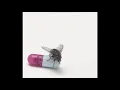 Red Hot Chili Peppers - The Adventures of Rain Dance Maggie