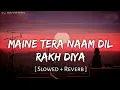 Download Lagu Maine Tera Naam Dil Rakh Diya (Slowed + Reverb) | Raghav Chaitanya, Shreya Ghoshal |  Raj BROTHERS
