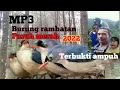 Download Lagu Suara pikat rambatan paruh merah 2022 .