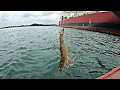 Download Lagu Mancing Di Laut Menggunakan Umpan ini.Ditarik ikan Besar Sampai Kewalahan