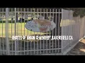 The Ghosts of Union Cemetery Bakersfield Ca