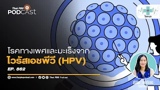 ไวรัส hpv ชนิดไหนที่มีความเสี่ยงต่อการเกิดมะเร็ง