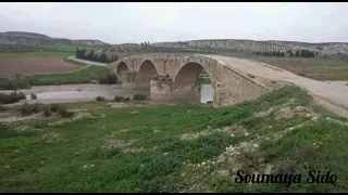 عامر أبو الن ور  حسانو دندنها