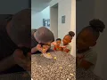 Download Lagu Dad thought daughter 🧇🤓wanted his food 😁 #shorts