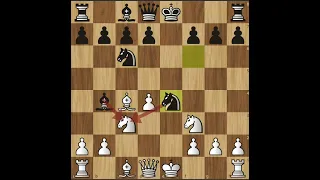 فخ في الافتتاح الايطالي Chess شطرنج 