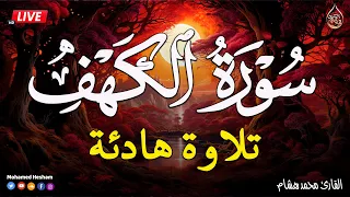 سورة الكهف كاملة للقارئ محمد هشام أجمل تلاوة في يوم الجمعة المباركة Surah Al Kahf  سورة الكهف كاملة للقارئ محمد هشام أجمل تلاوة في يوم الجمعة المباركة Surah Al Kahf