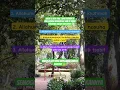 Download Lagu 3 doa Rasulullah saw di sujud terakhir dalam sholatnya #religion #shortvideo