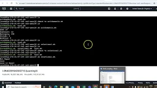 Shell Scripting - Operators