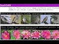 Download Lagu from principal components to puppyslugs @ itp-camp 6/21/17
