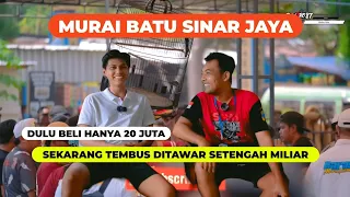 murai batu sinar jaya murai batu that will shine in the future 2nd and 3rd place in smm main ti 