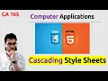 Class 10 CSS Cascading Style Sheets - Computer Applications 2023 CA 165 Aakash Singh