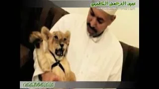 الفنان خالد السلامه    ياساكن القلب لو تدري    على الكمان ممدوح الشمري ابو نايف دندنها