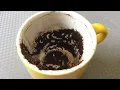 Aquarius August 3 2026 Weekly Coffee Cup Reading by Cognitive Universe