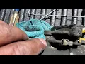 Cascadia DD13 Emmissions Fix Delta Sensor SPN 2659 FMI 18