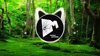 Download Stoltenhoff - La Selva (Original Mix) || Jungle Terror 2015 MP3