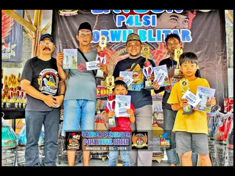 Download MP3 Latber perkutut spektakuler p4lsi korwil blitar 26 mei 2024 desa slorok garum / blitar