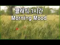 Download Lagu 클래식 1시간 반복 -Morning Mood by Grieg 아침기분 -그리그 -비오는영상